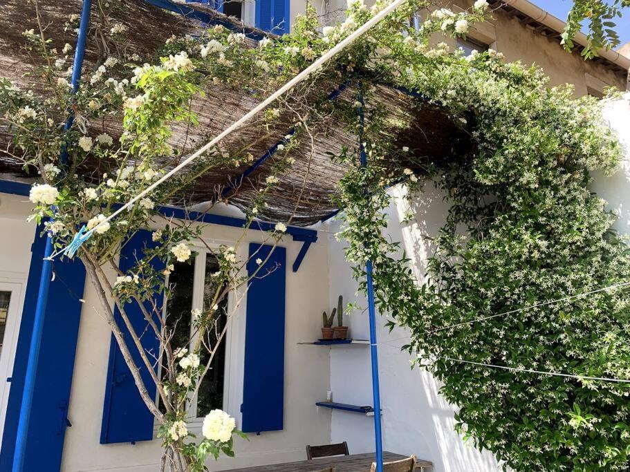 מרסיי Villa En Bord De Mer A Malmousque מראה חיצוני תמונה